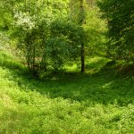 Uno dei gorghi di Cinaglio coperto di erba - Foto F. Chiaretta